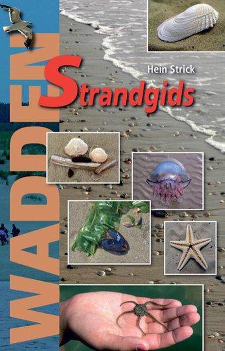 Wadden strandgids