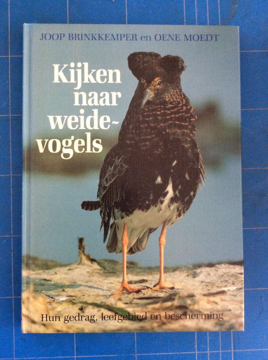 Brinkkemper Kyken Naar Weidevogels