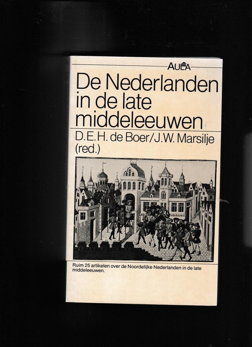 boekenbalie_9789027417480_cover Nederlanden in de late middeleeuwen