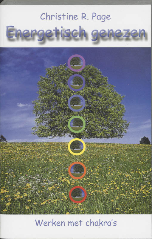 boekenbalie_9789020243659_cover Energetisch genezen