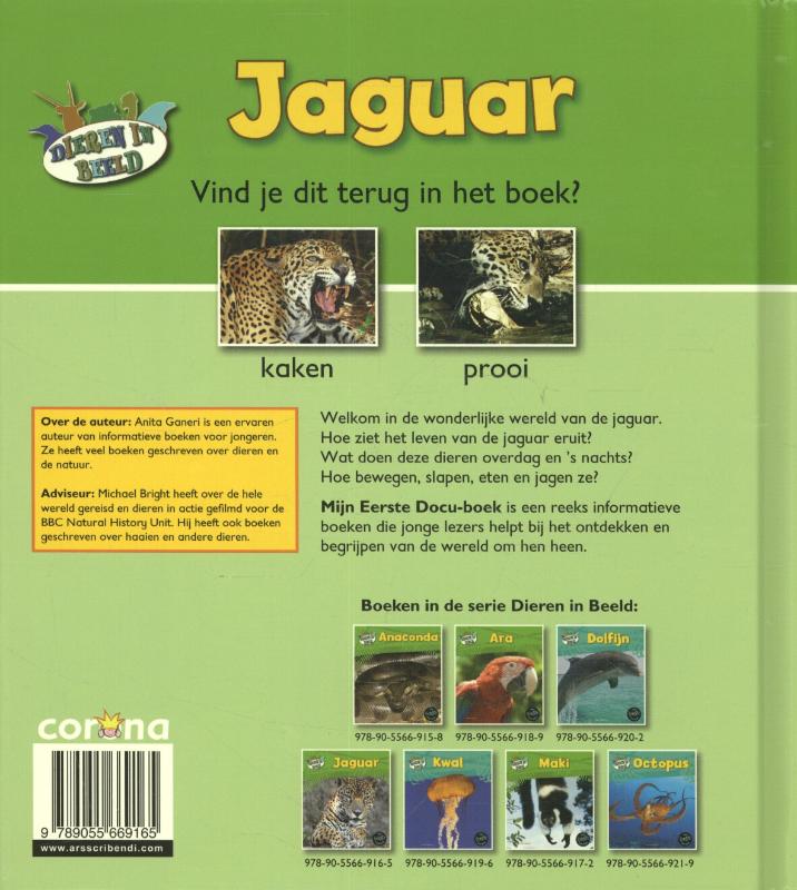 Jaguar / Dieren in beeld achterkant