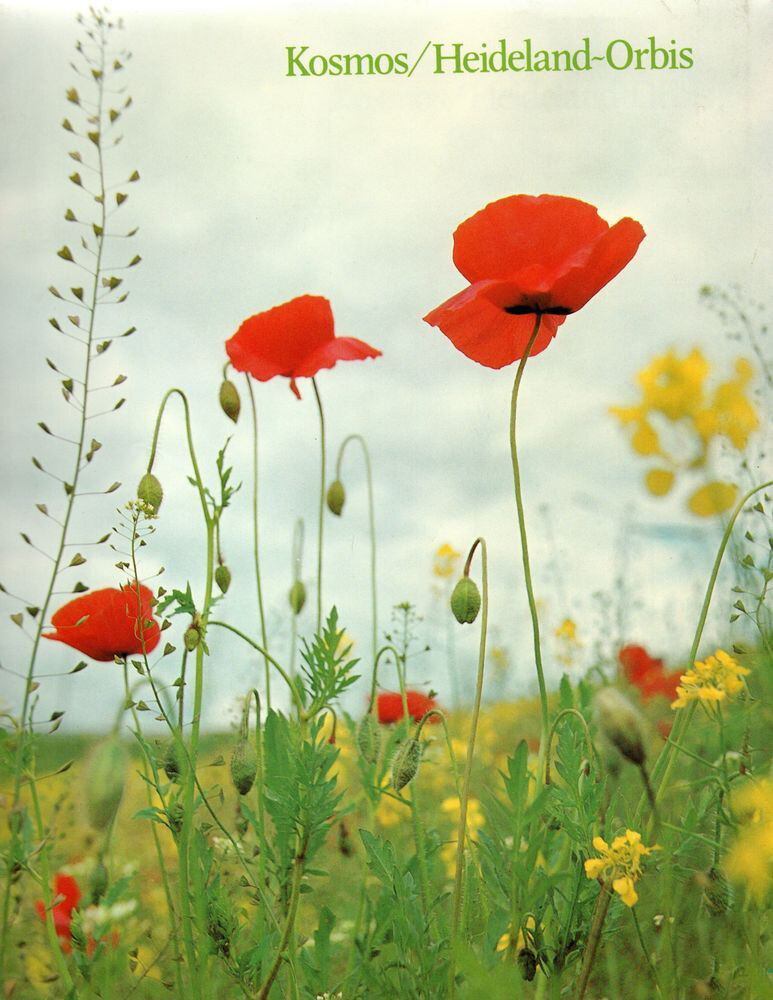 Plantenrijk achterkant