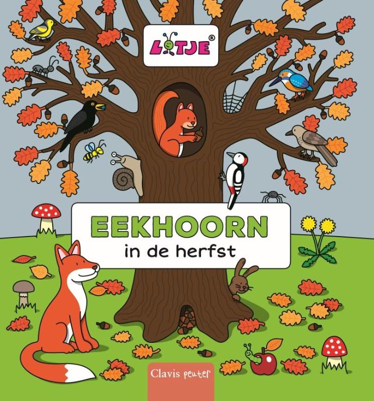 Eekhoorn in de herfst