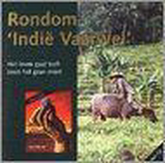 P. Schomper Rondom 'Indie Vaarwel' + Cd thumbnail