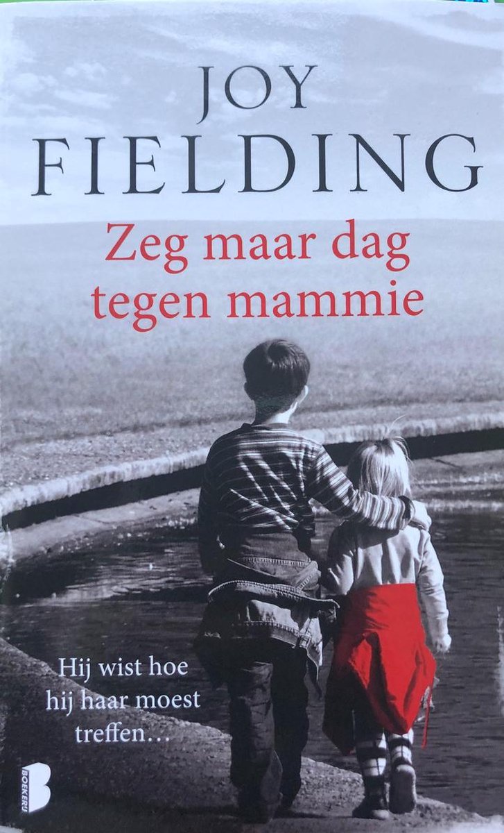 Joy Fielding Zeg Maar Dag Tegen Mammie thumbnail