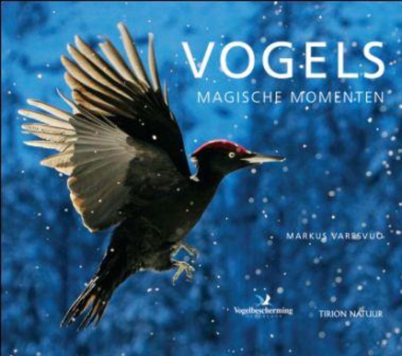 Vogels, magische momenten