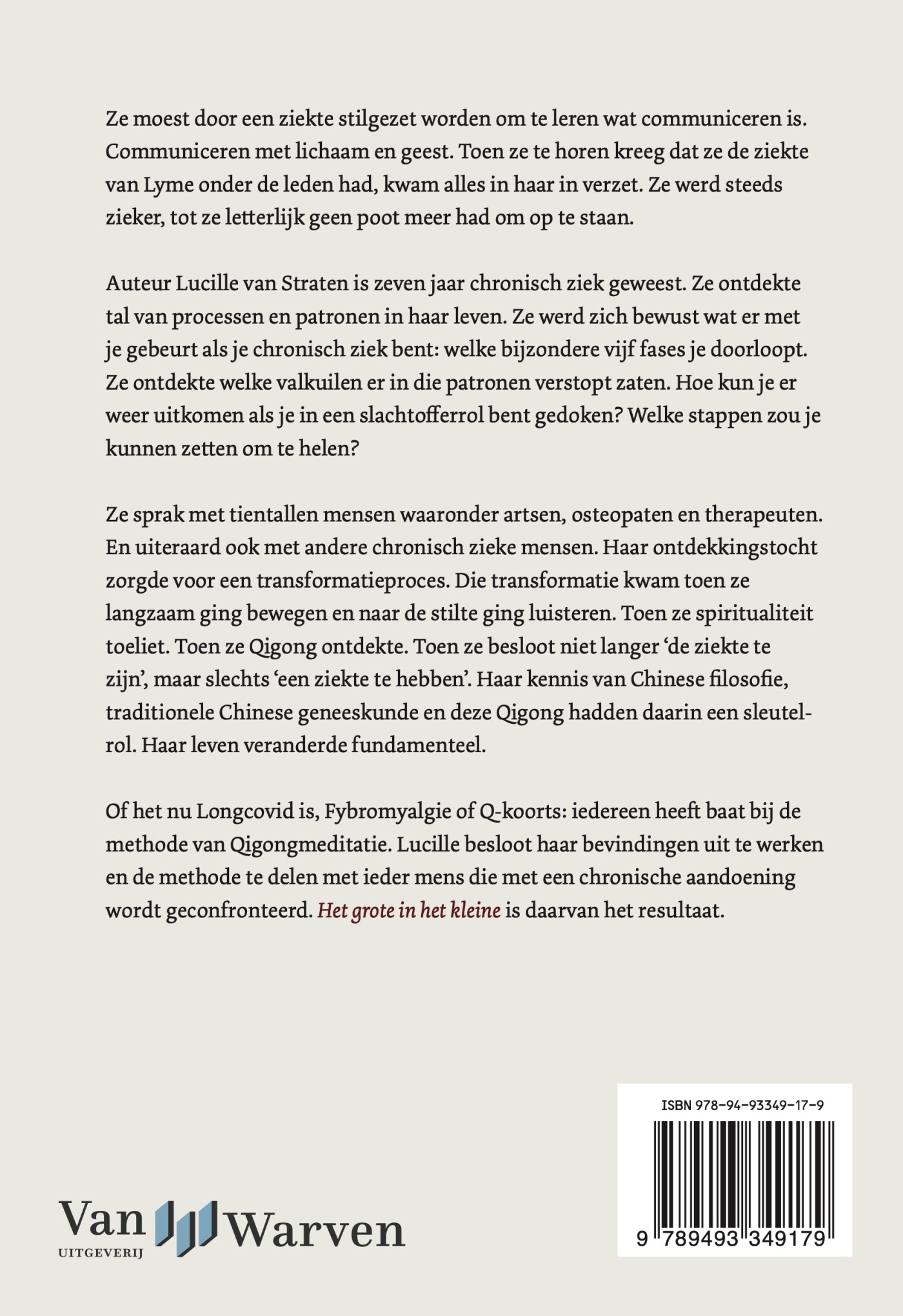 Het grote in het kleine achterkant