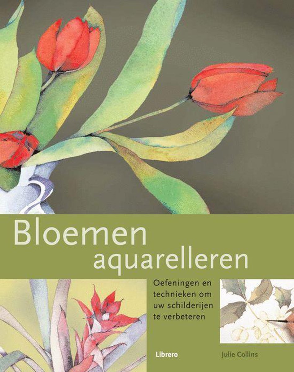 boekenbalie_9789057646683_cover BLOEMEN AQUARELLEREN