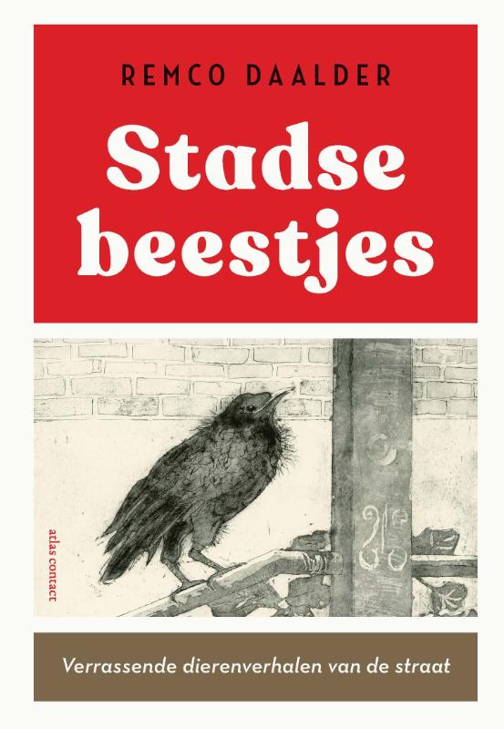 Remco Daalder Stadse Beestjes thumbnail