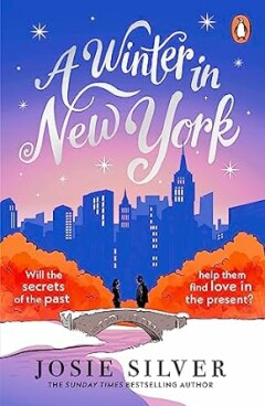 A winter in New York