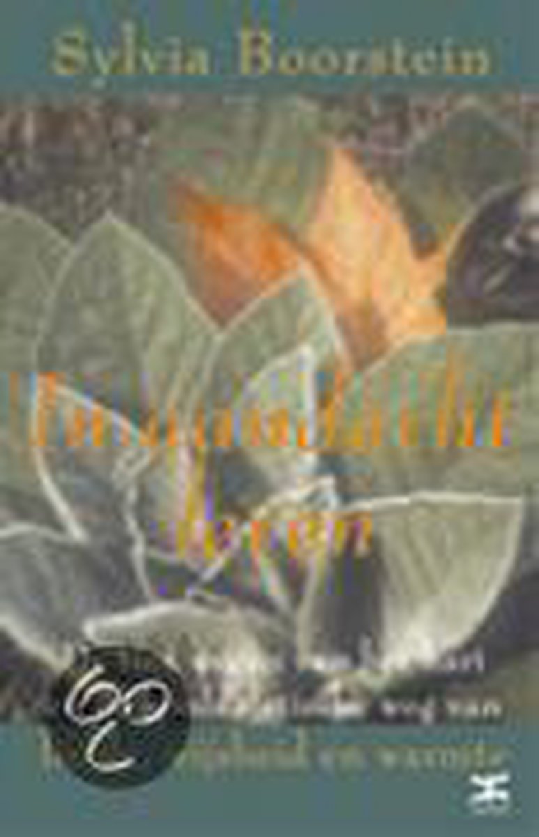 S. Boorstein In Aandacht Leven thumbnail