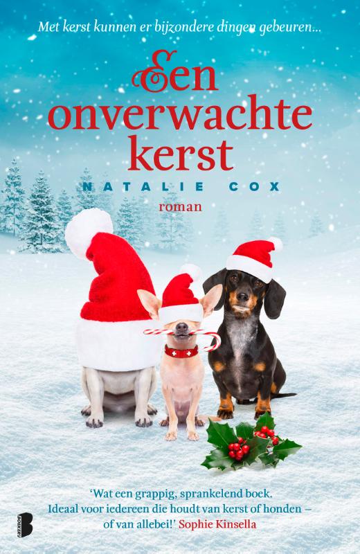 Een onverwachte kerst