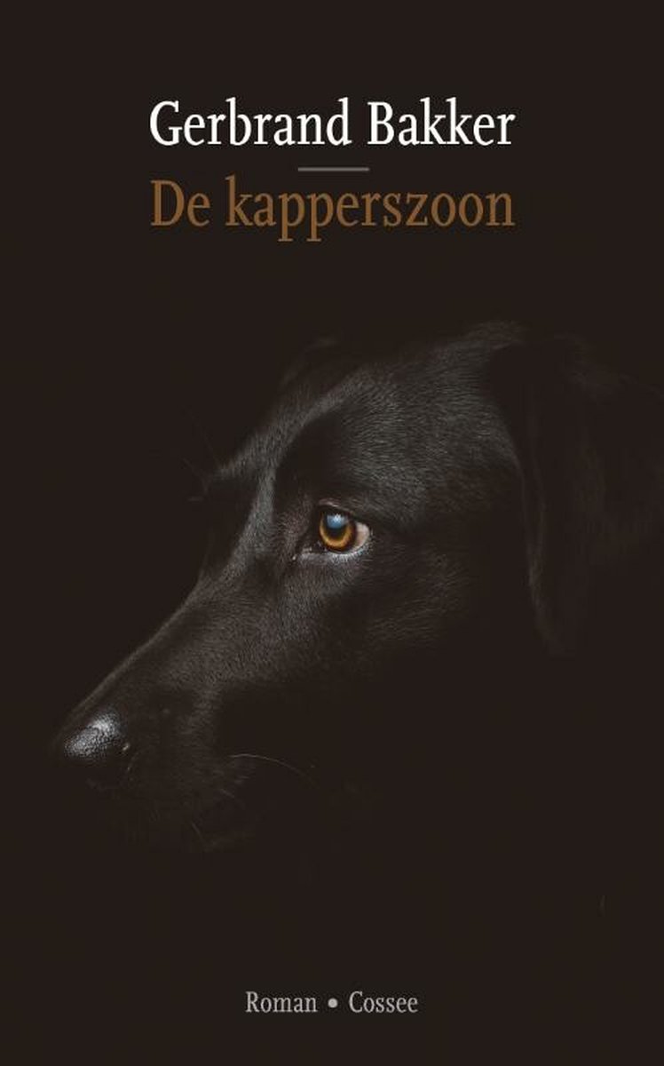 boekenbalie_9789464520163_cover De kapperszoon