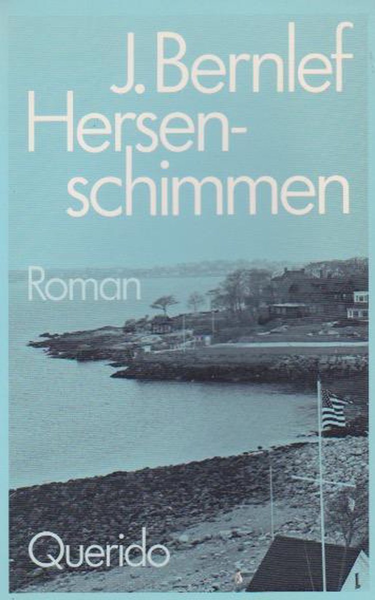 J. Bernlef Hersenschimmen thumbnail