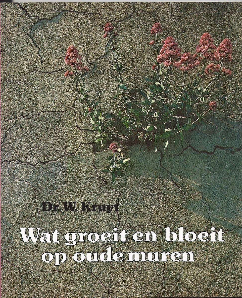 Wat bloeit en groeit op oude muren