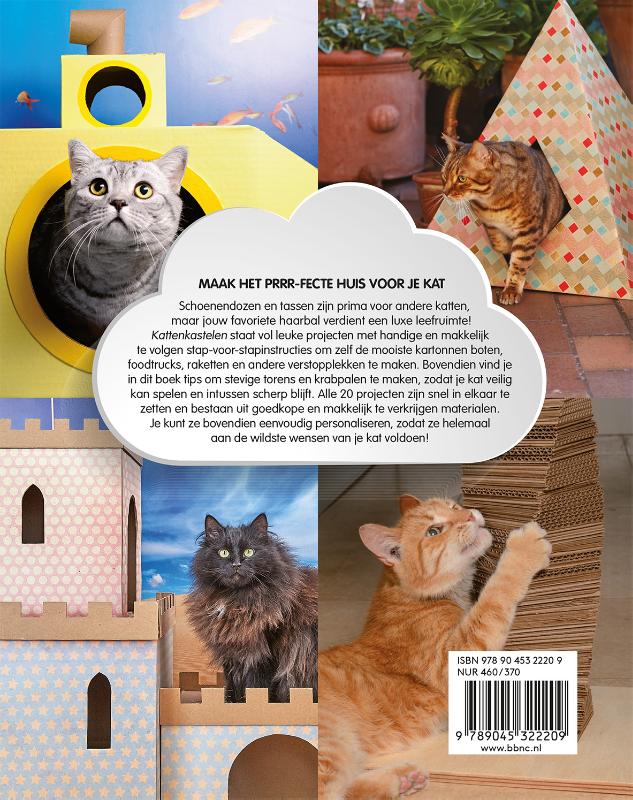 Kattenkastelen Kattenkastelen achterkant