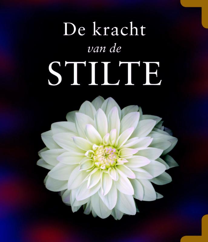 boekenbalie_9789045306315_cover De kracht van de stilte