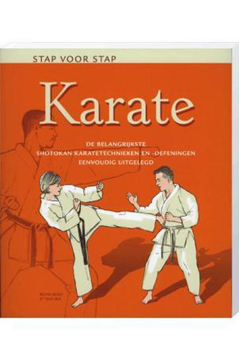Kevin Healy Stap Voor Stap Karate thumbnail
