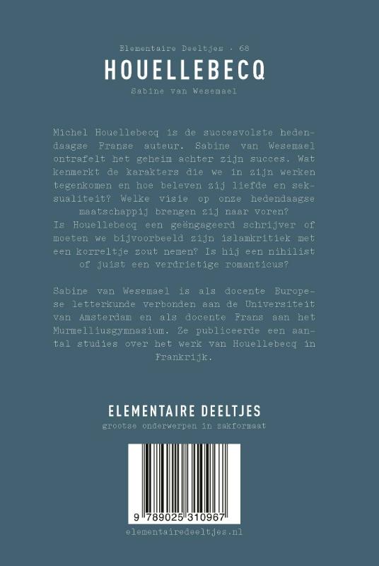 Houellebecq / Elementaire Deeltjes / 68 achterkant