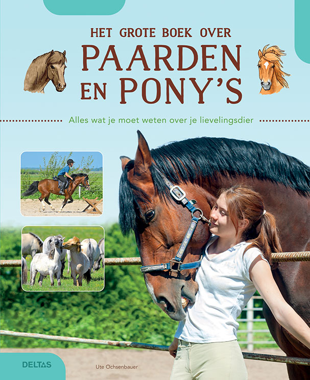 Ute Ochsenbauer Het Grote Boek Over Paarden En Pony's
