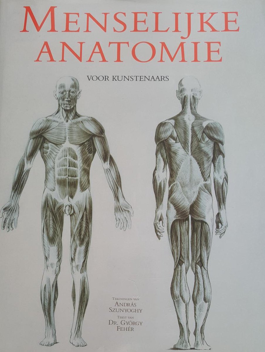 Menselijke Anatomie Voor Kunstenaars