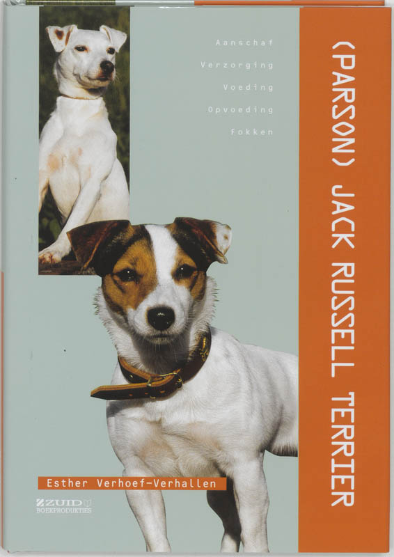 Jack Russel Terrier