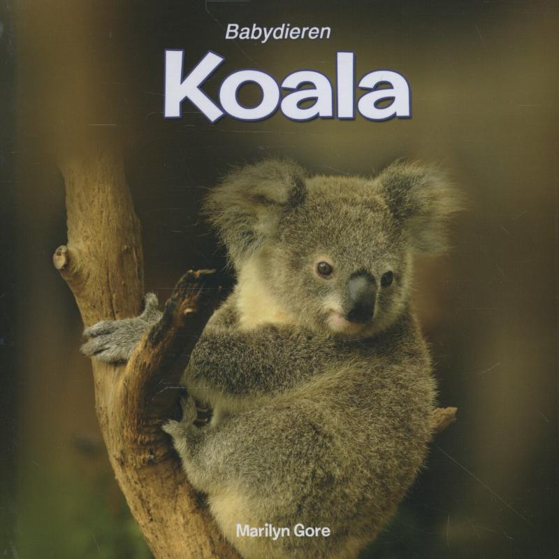 Babydieren  -   Koala