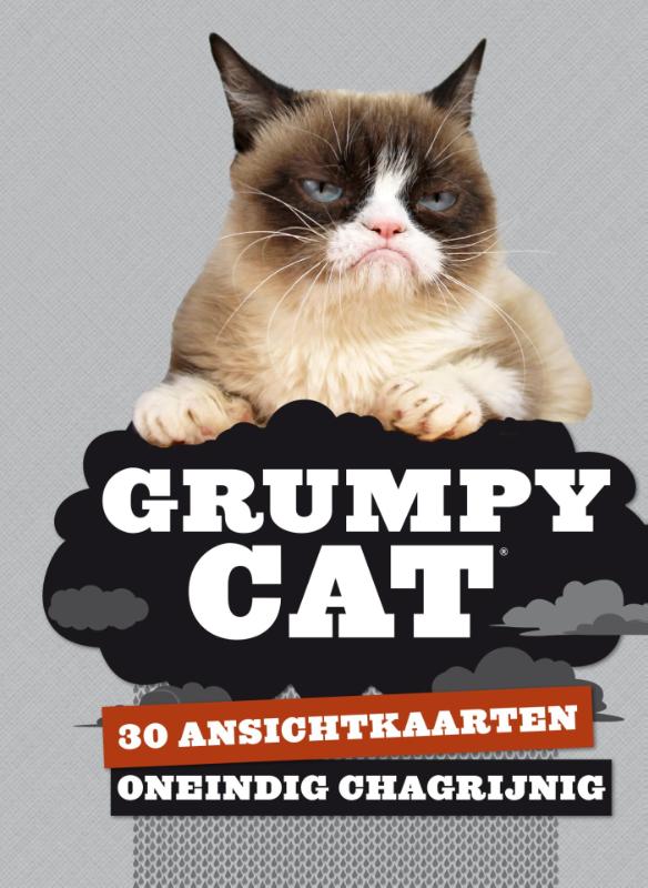 Grumpy cat