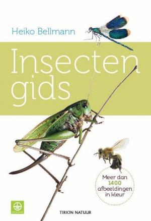 Insectengids