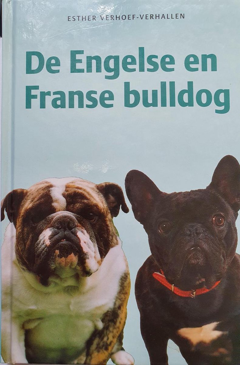 Engelse En Franse Bulldog