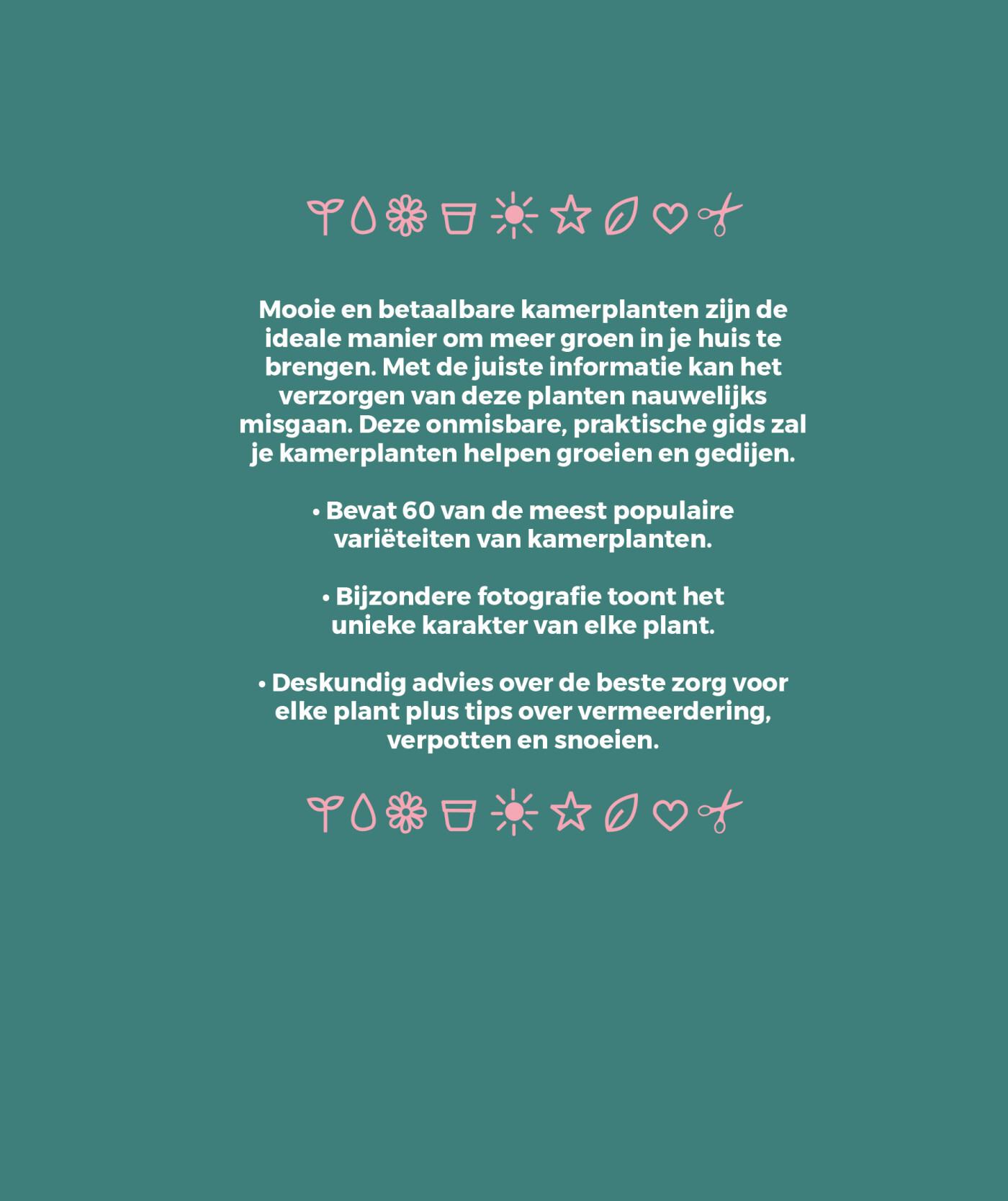 De kleine gids voor kamerplanten achterkant