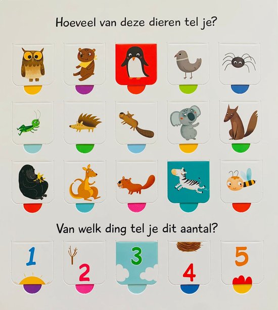 100 fantastische flapjes