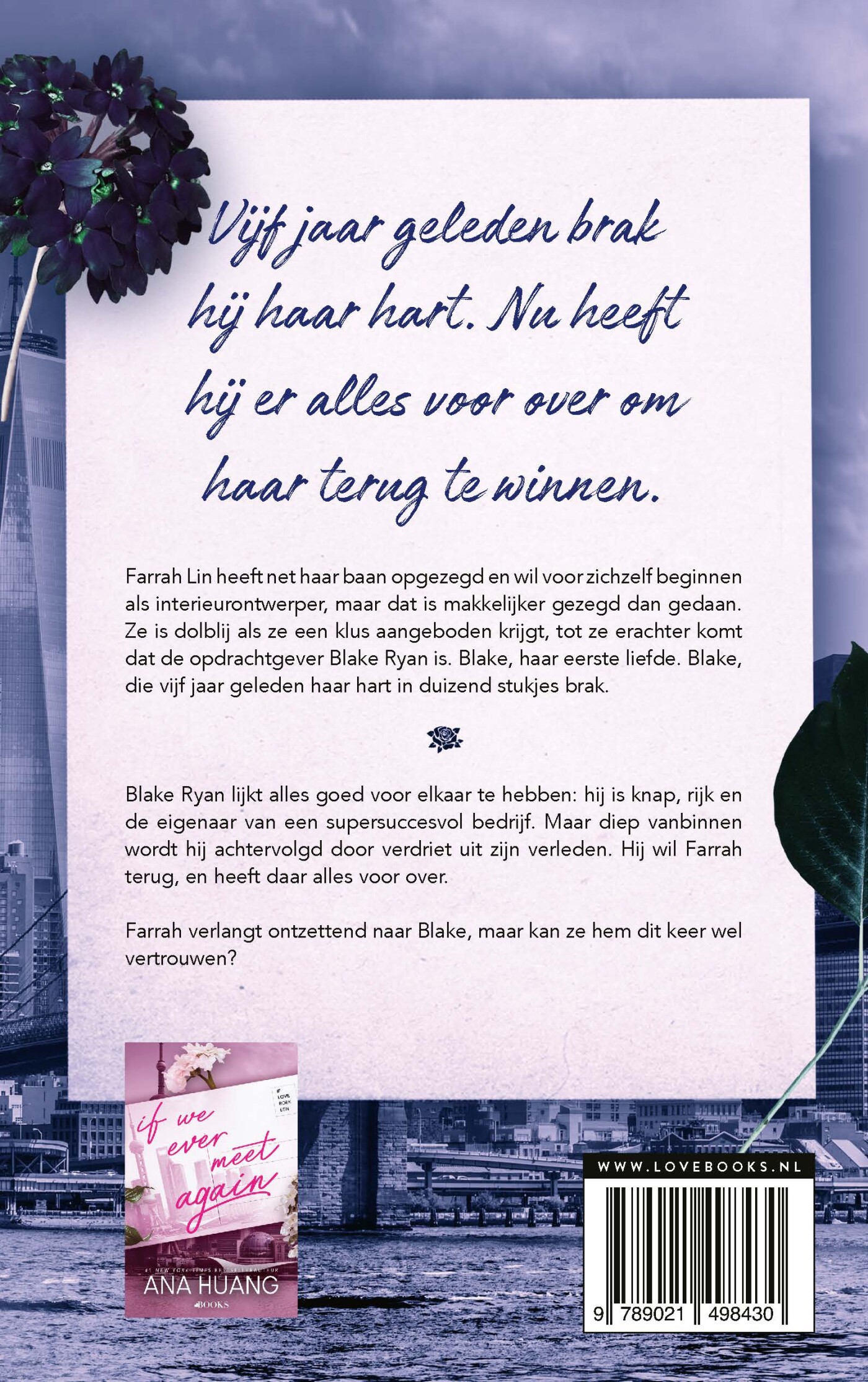 If the sun never sets / If Love / 2 achterkant