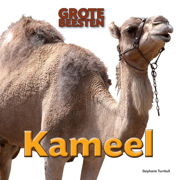 Kameel / Grote Beesten