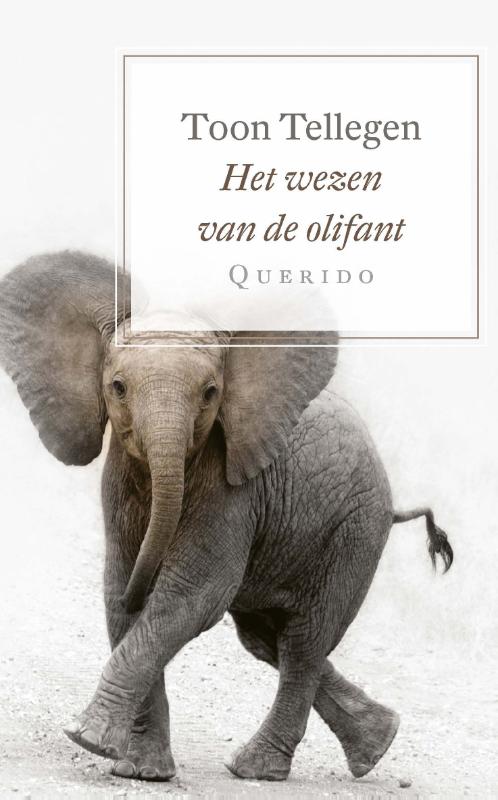 Isbn Het wezen van de olifant