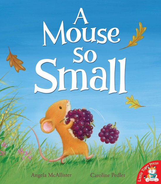 Mouse So Small