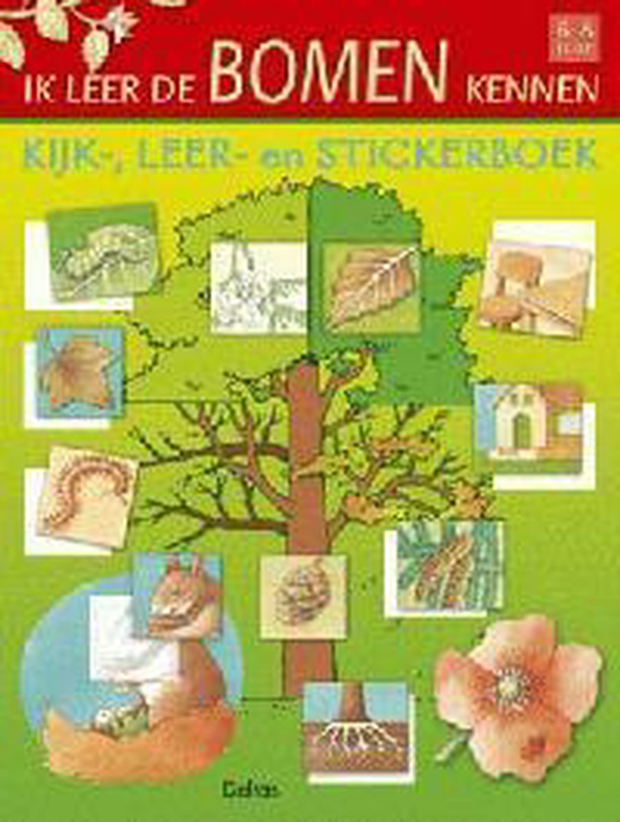 Ik Leer De Bomen Kennen Stickerboek