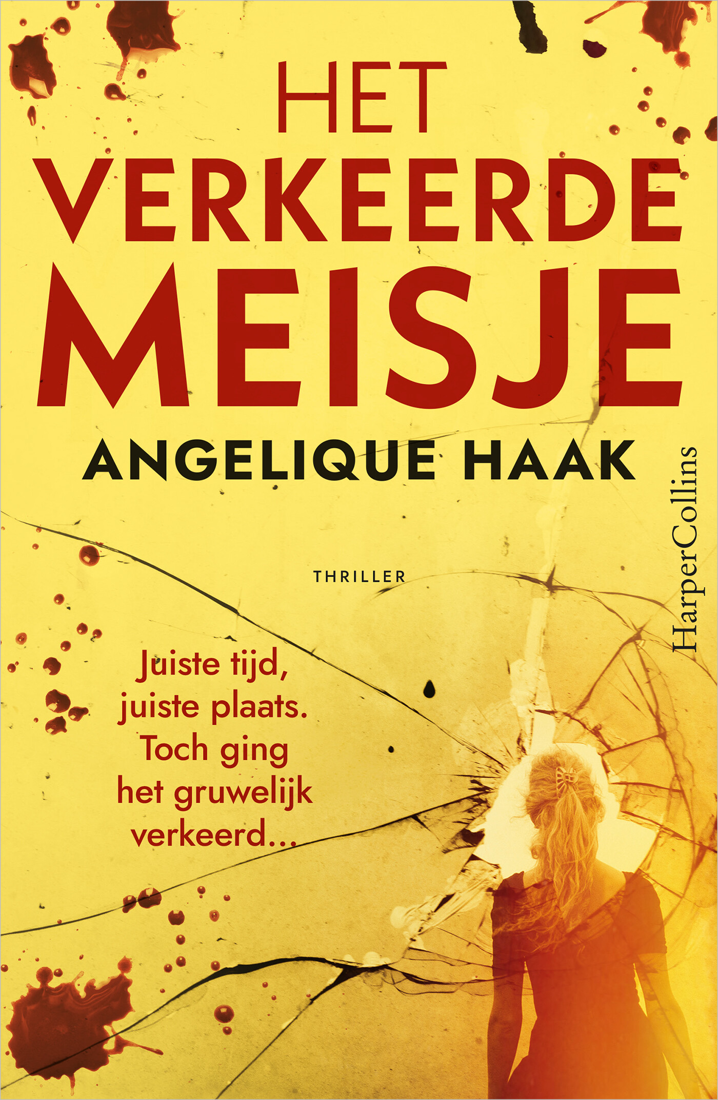 Het verkeerde meisje