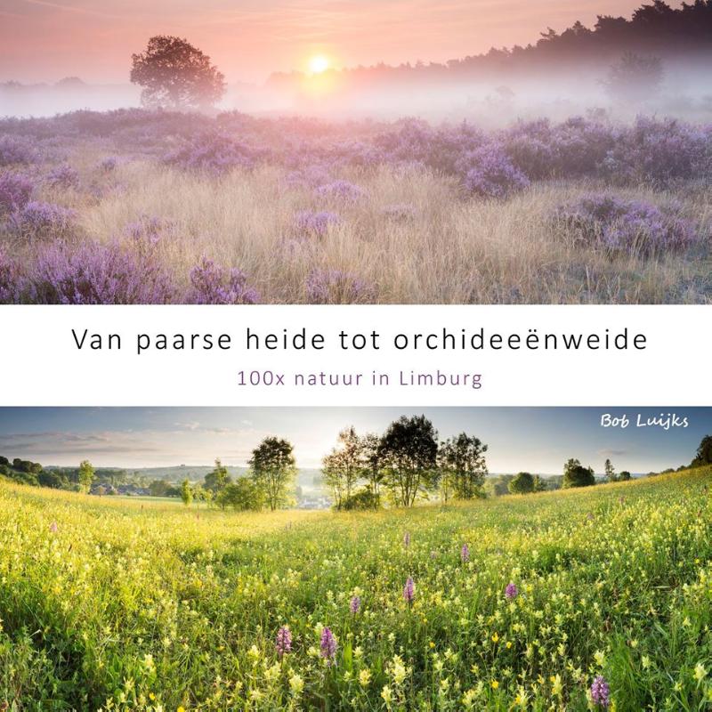 Van paarse heide tot orchideeënweide, 100x natuur in Limburg