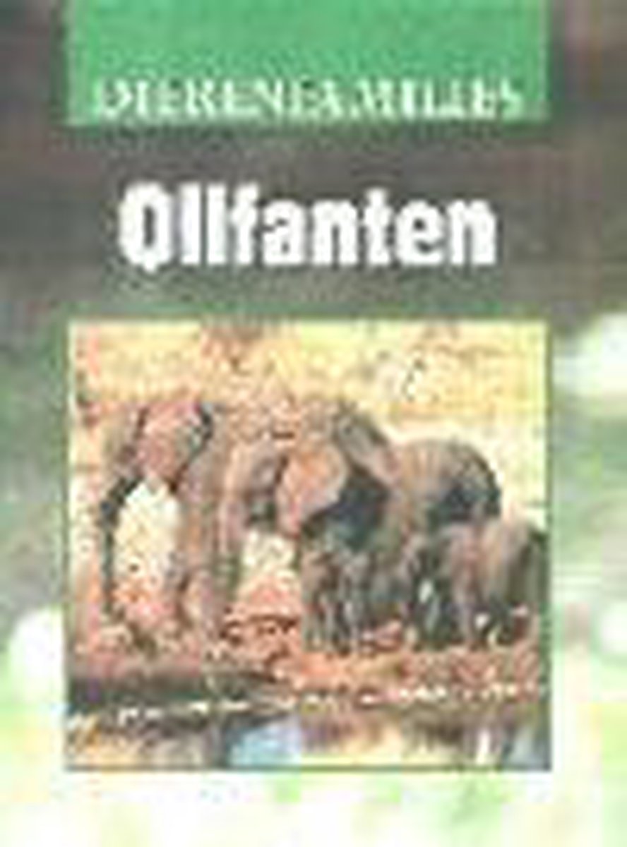 Olifanten / Dierenfamilies