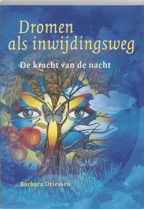 B. Driessen Dromen Als Inwijdingsweg thumbnail