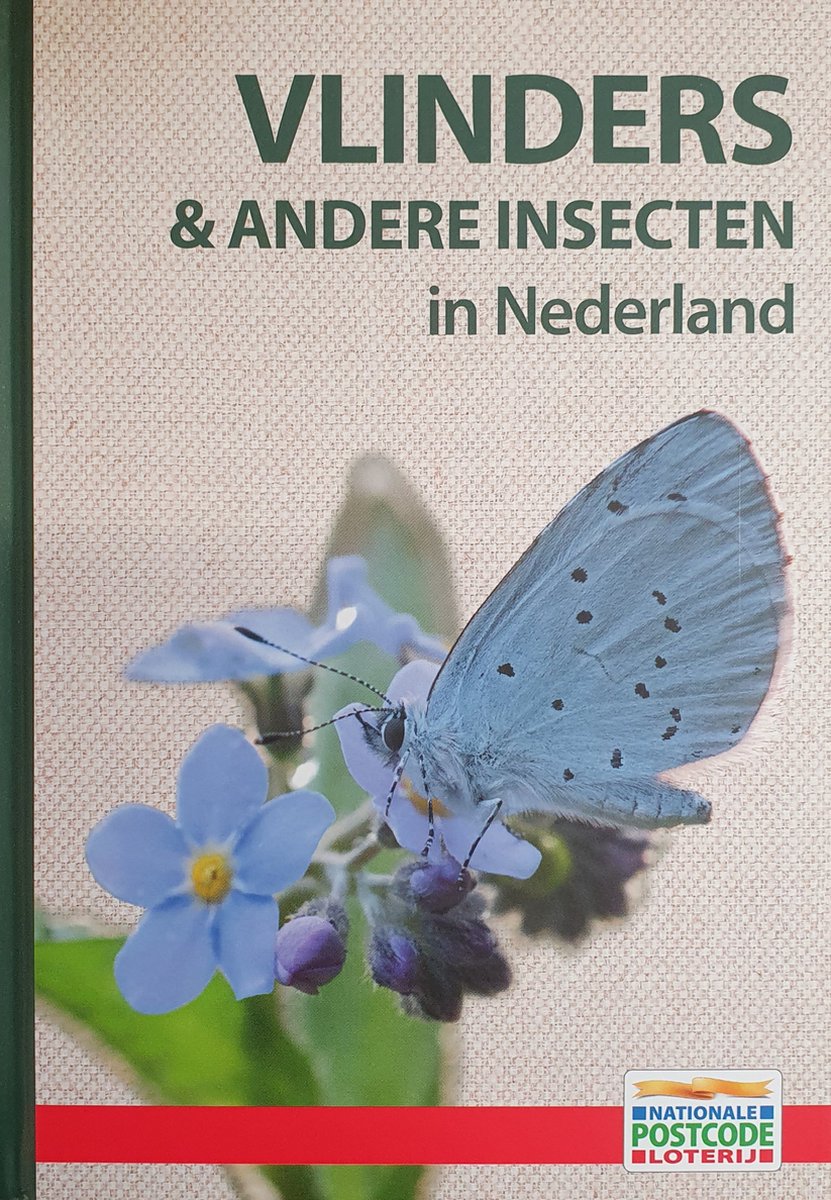 Vlinders & andere insecten in Nederland