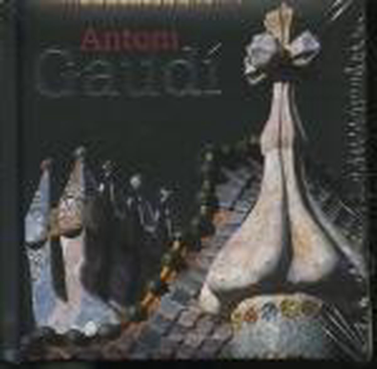 boekenbalie_9783936761368_cover Antoni GaudÃ