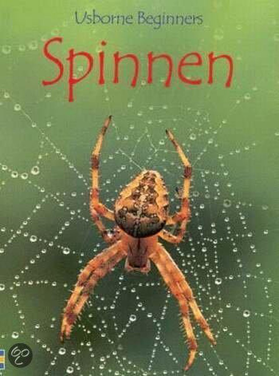 Spinnen / Usborne beginners