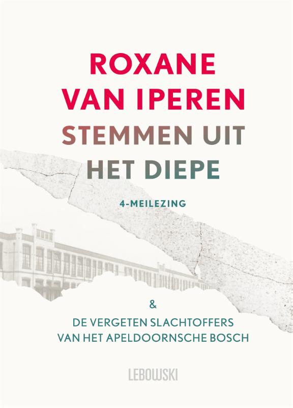 boekenbalie_9789048877553_cover Stemmen uit het diepe