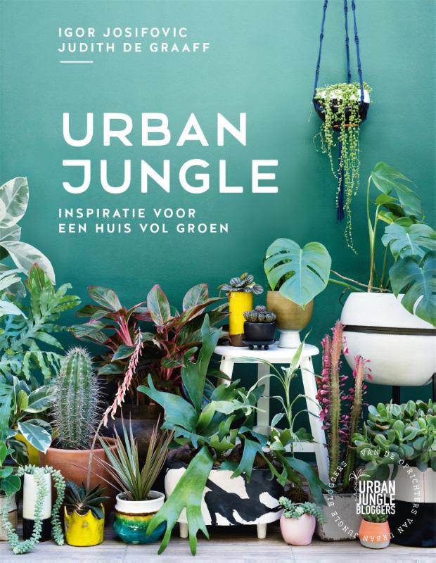 Urban jungle