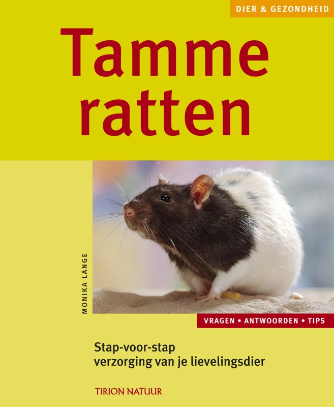 Tamme Ratten