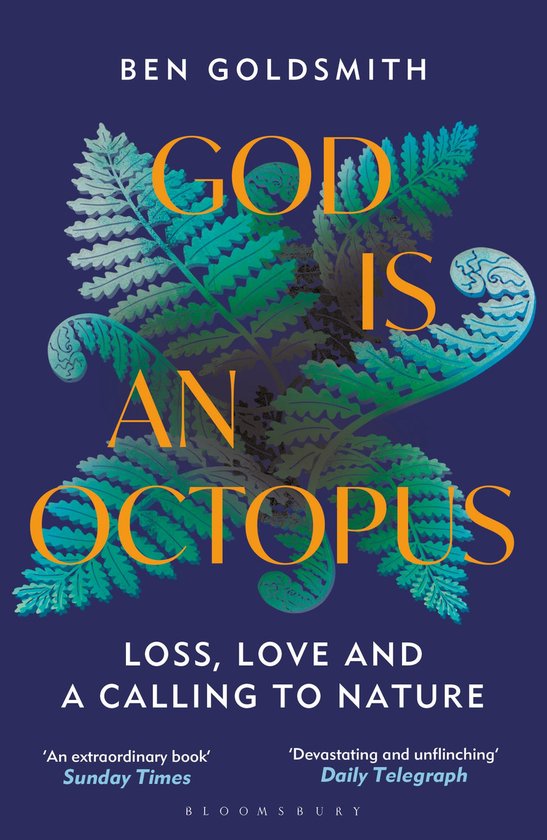 Ben Goldsmith God Is An Octopus thumbnail