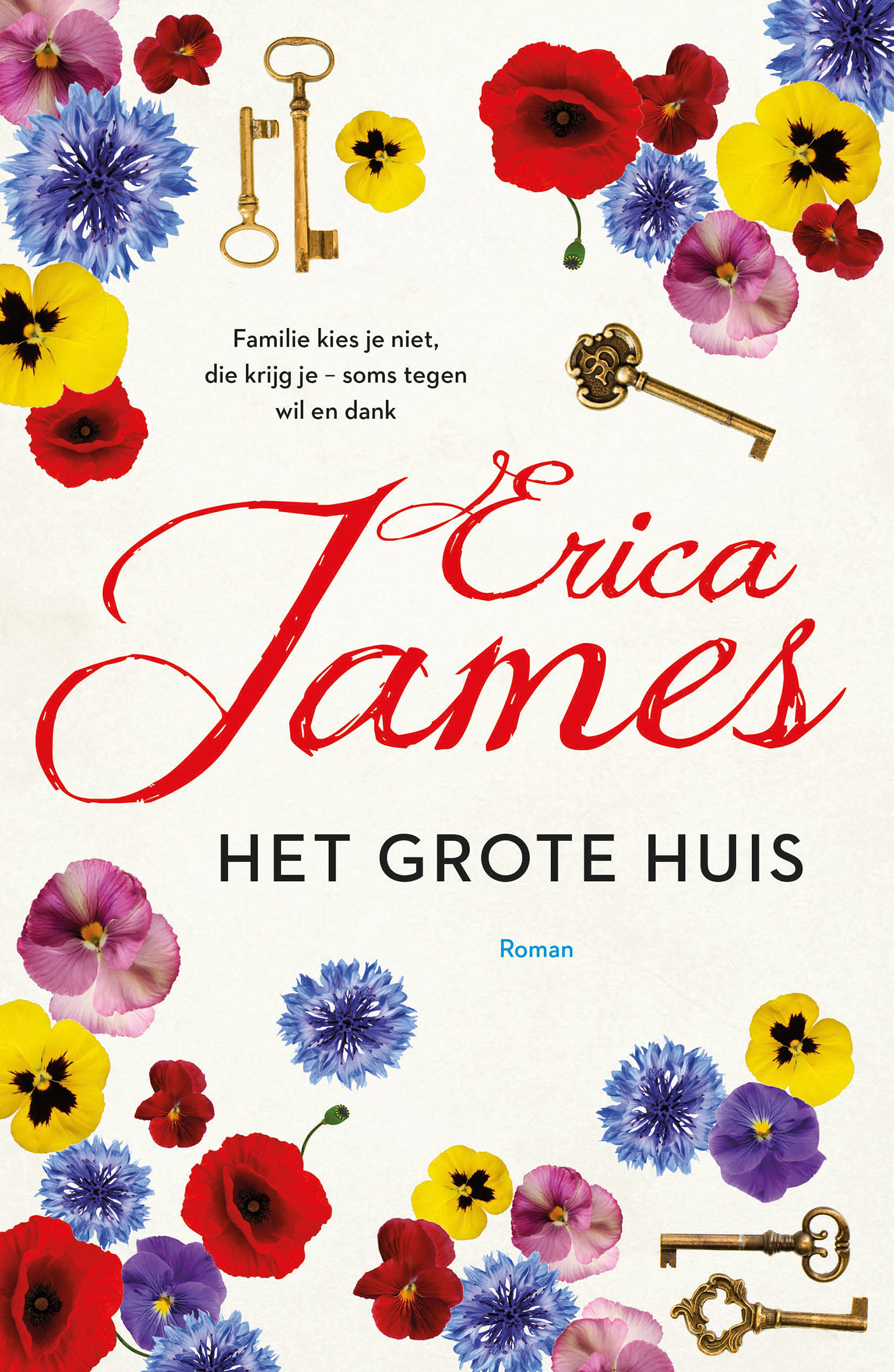 boekenbalie_9789026151415_cover Het grote huis