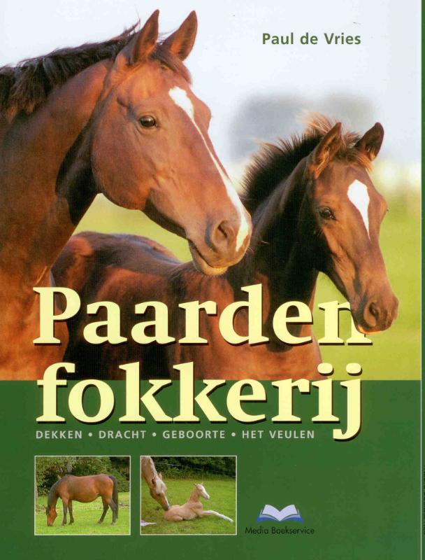 Paul de Vries Paardenfokkerij thumbnail